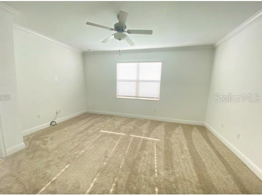 9967 Red Bay Loop Land O Lakes FL 34637 TB8532579 image15