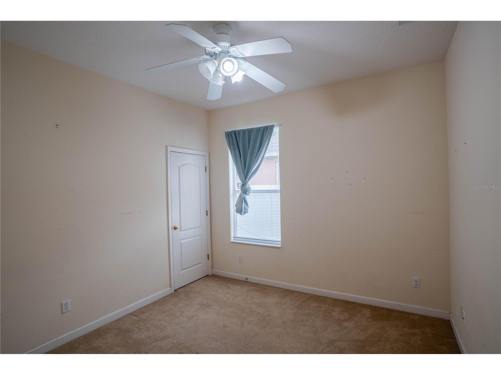 9968 Chardonnay Drive Orlando FL 32832 S5148048 image10