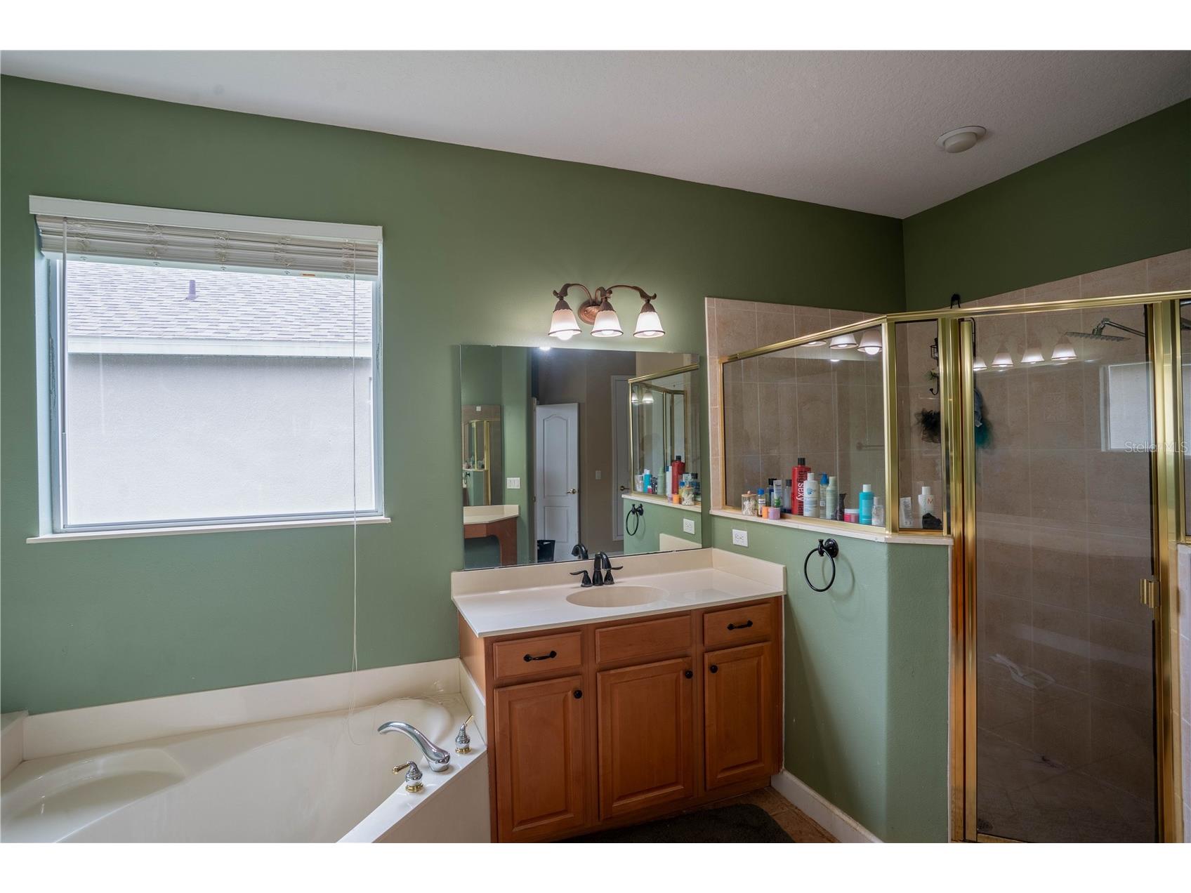 9968 Chardonnay Drive Orlando FL 32832 S5148048 image17