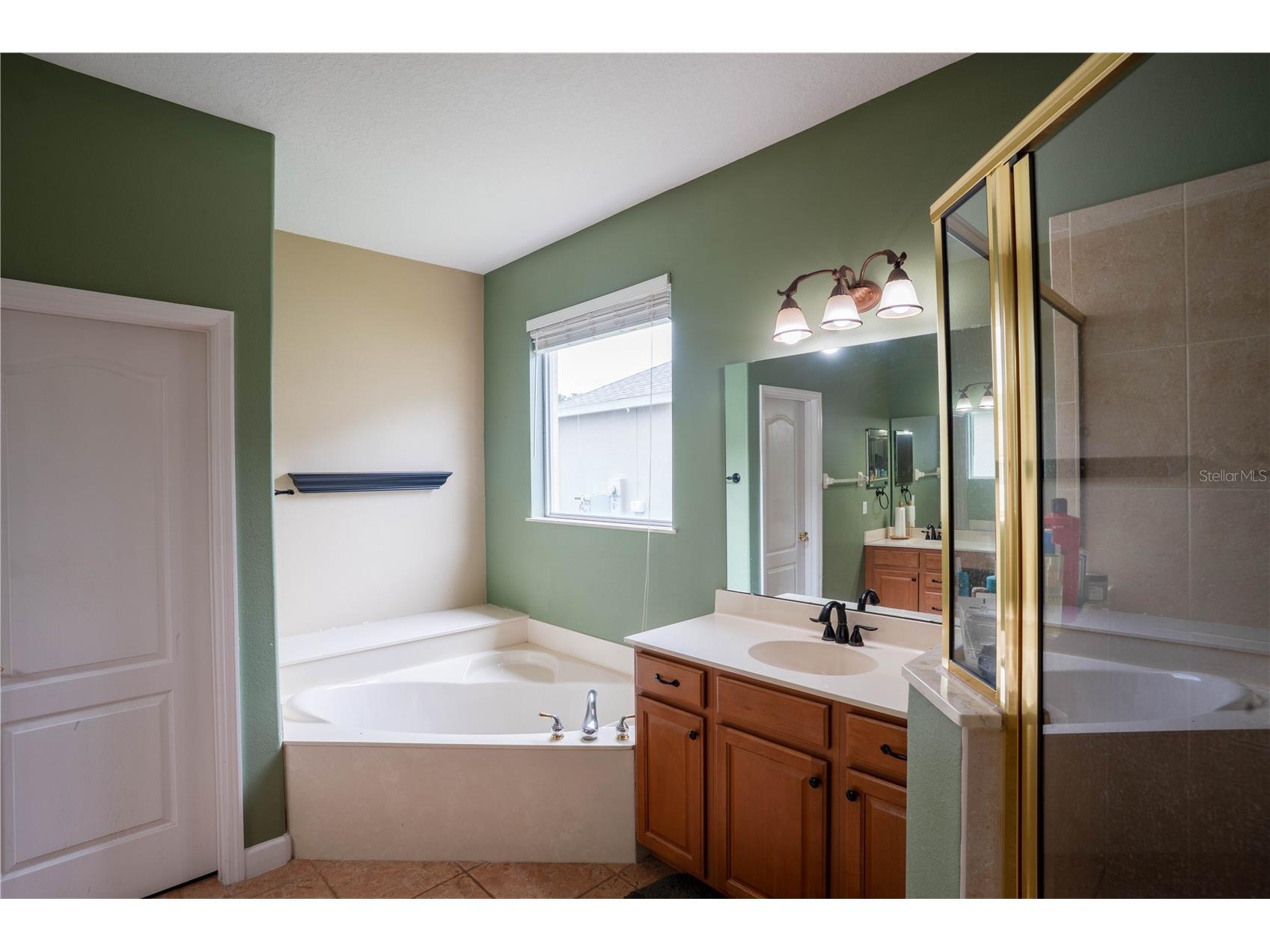 9968 Chardonnay Drive Orlando FL 32832 S5148048 image18