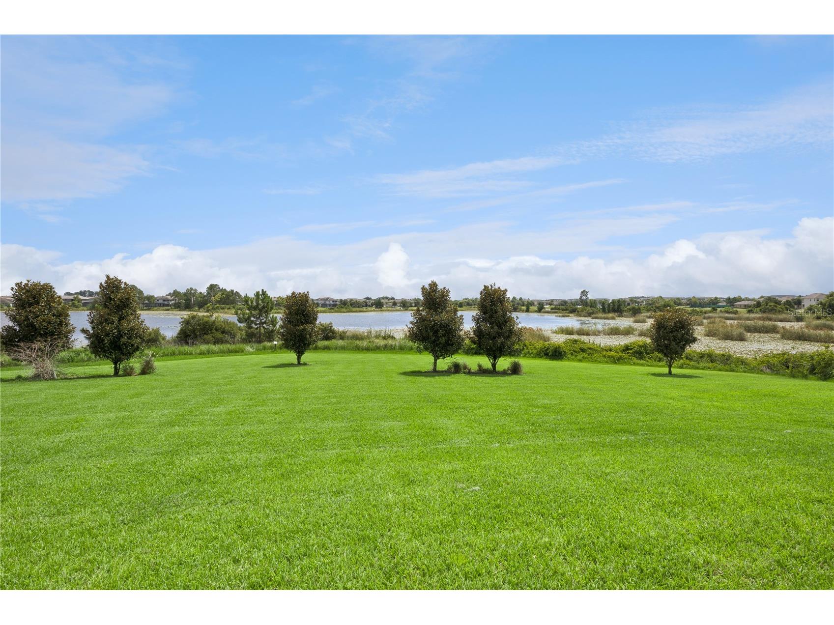 9969 Lost Creek Drive Winter Garden FL 34787 O6419414 image59