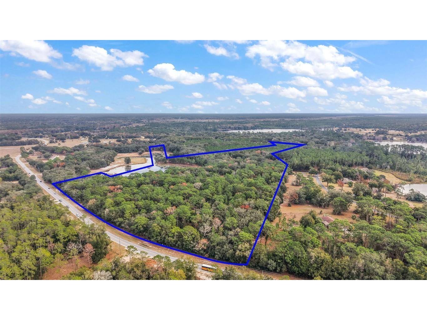 9969 SE Highway 464c Ocklawaha FL 32179 G5091868 image1