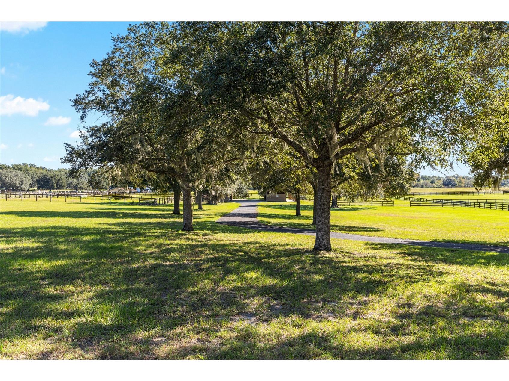 997 NW 63rd Court Ocala FL 34482 OM712282 image7