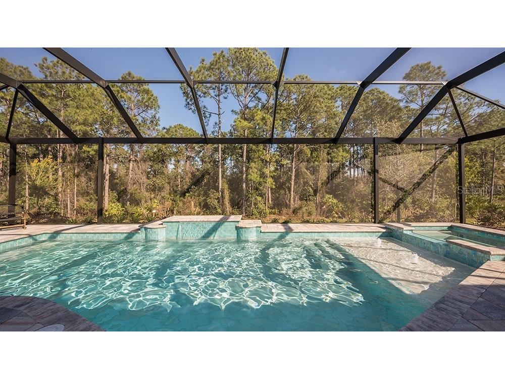 997 Tassleflower Trail Saint Cloud FL 34771 O6393197 image19