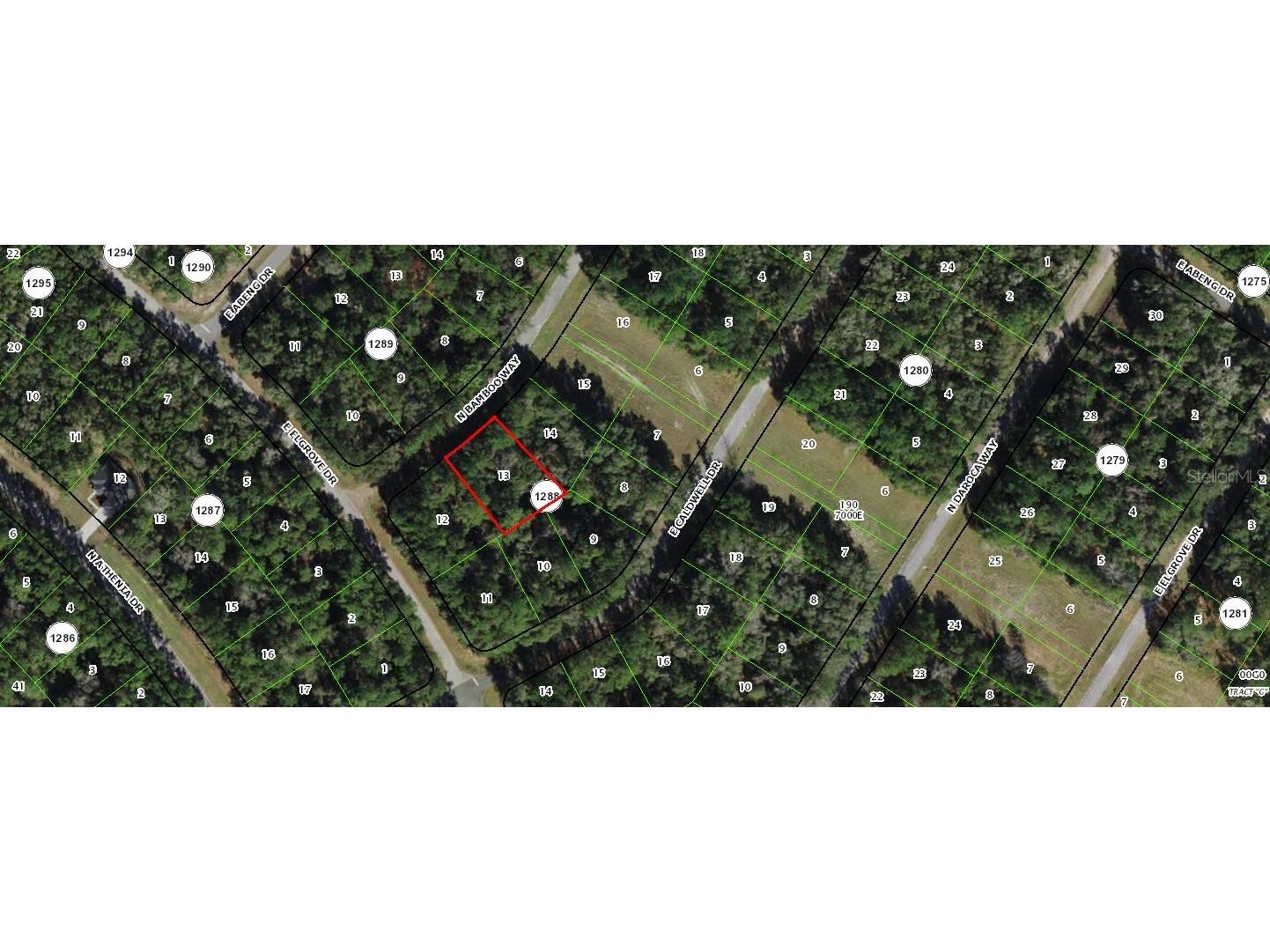9971 N Bamboo Way Citrus Springs FL 34434 OM662842 image1