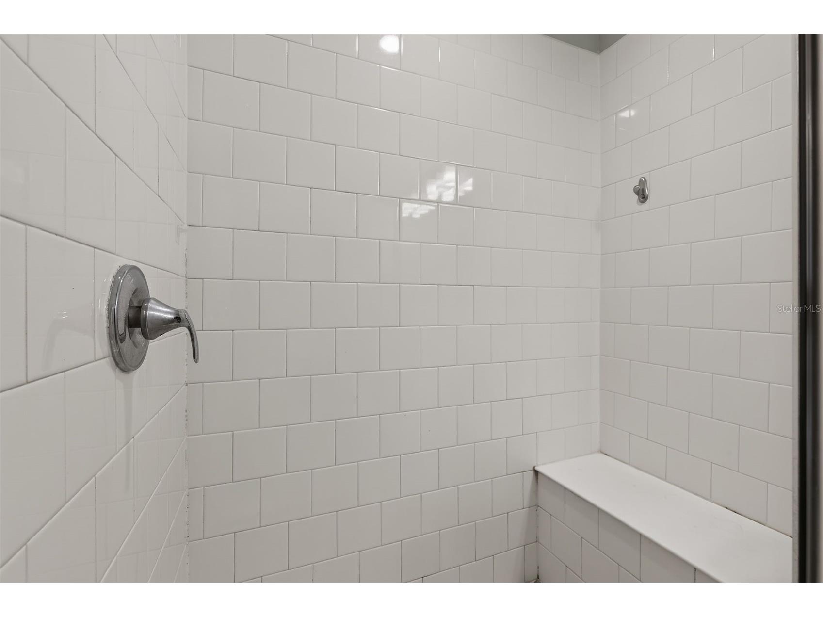 9972 Mesic Woods Avenue Seffner FL 33584 TB8525086 image34