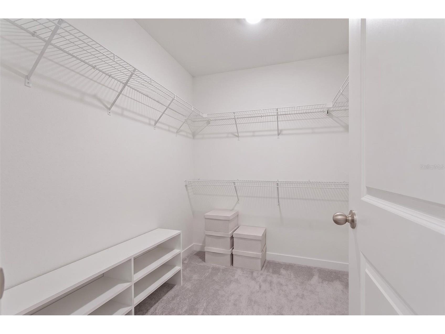 9972 Mesic Woods Avenue Seffner FL 33584 TB8525086 image35