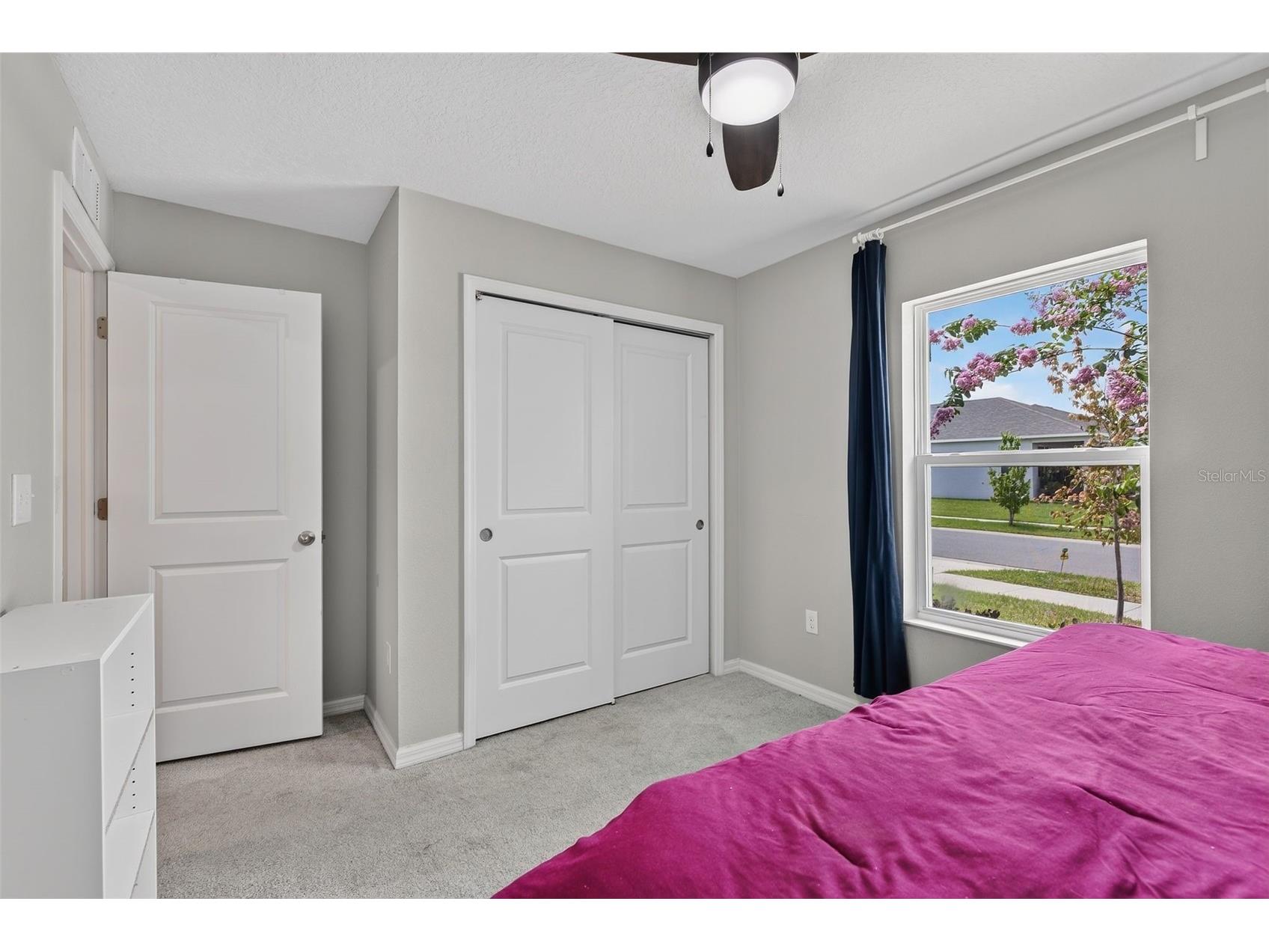 9972 Mesic Woods Avenue Seffner FL 33584 TB8525086 image45