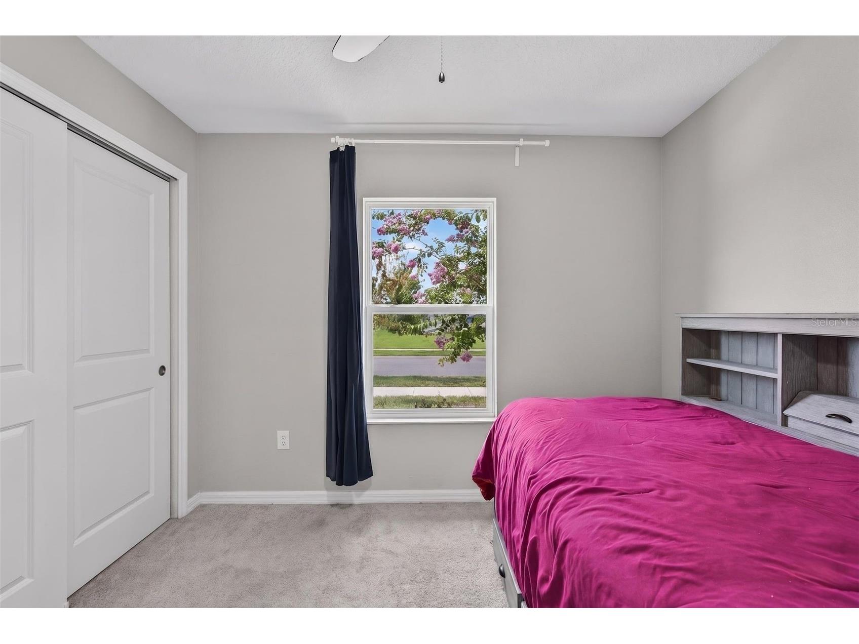 9972 Mesic Woods Avenue Seffner FL 33584 TB8525086 image46