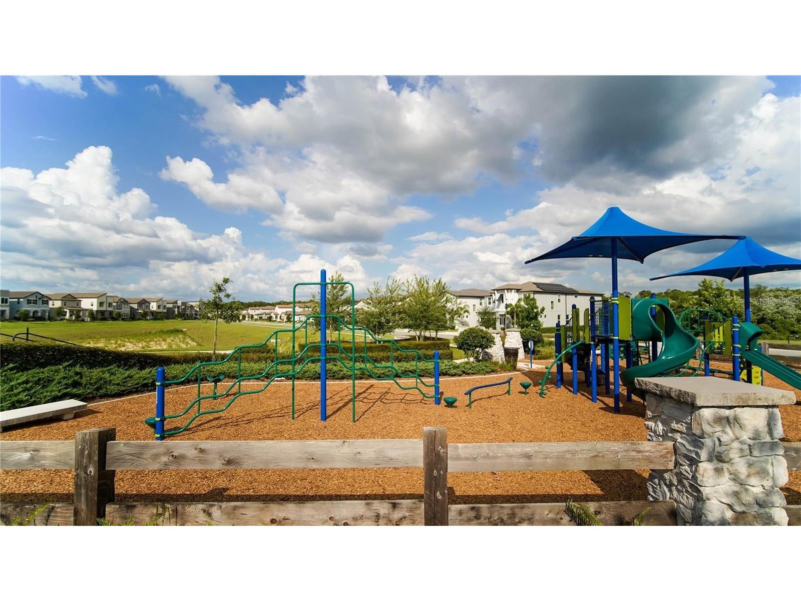 9972 Pallida Hickory Way Winter Garden FL 34787 O6391384 image42