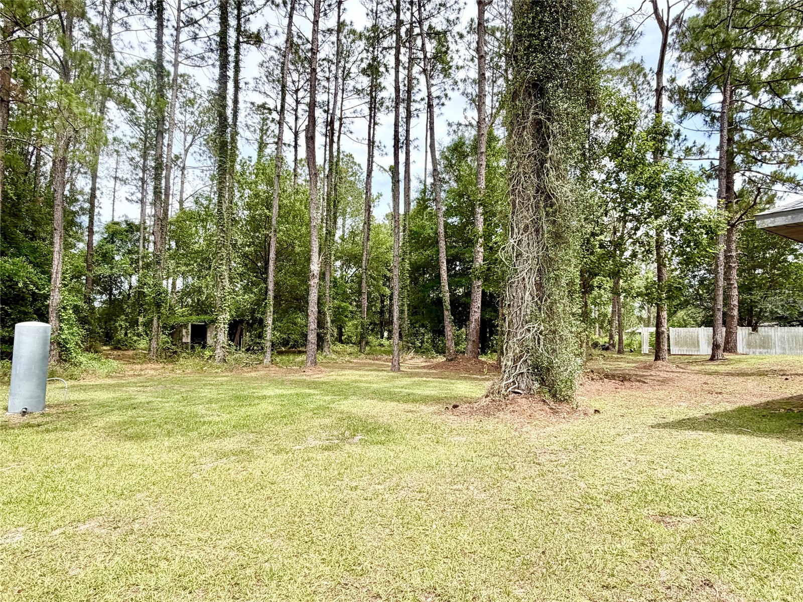 9972 SW 151st Place Lake Butler FL 32054 GC540958 image21
