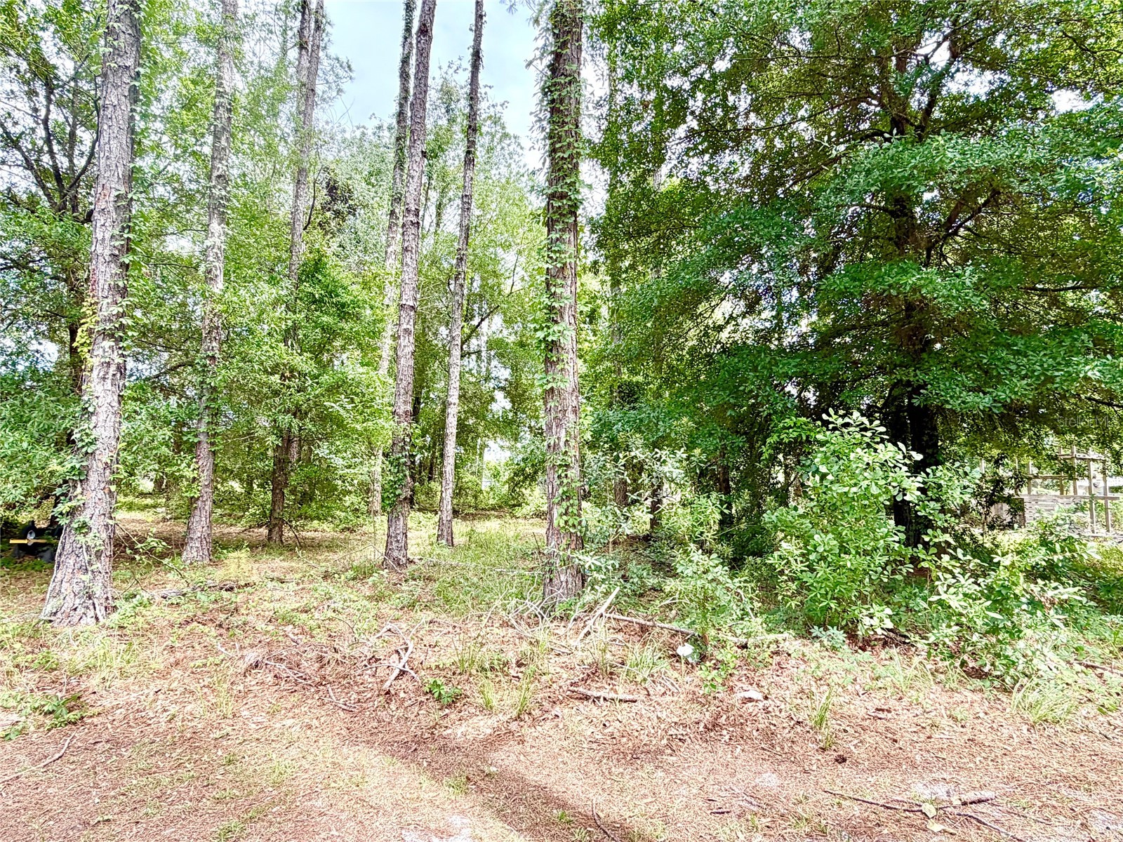 9972 SW 151st Place Lake Butler FL 32054 GC540958 image22