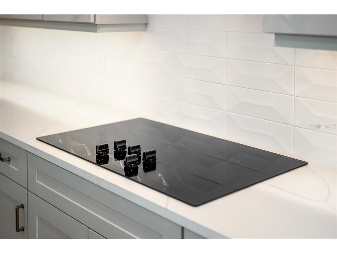 9973 Key Haven Road Seminole FL 33777 A4624991 image10