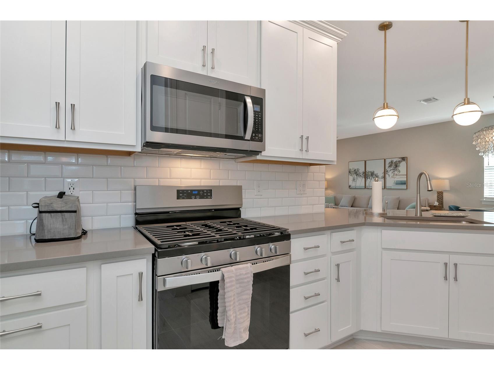 9974 Bright Water Drive Englewood FL 34223 N6142307 image6