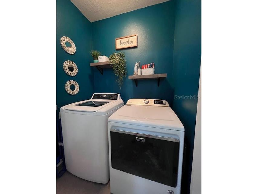 9974 Hound Chase Drive Gibsonton FL 33534 TB8445936 image24