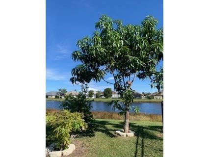 9975 Bishop Creek Way Punta Gorda FL 33950 C7523200 image6