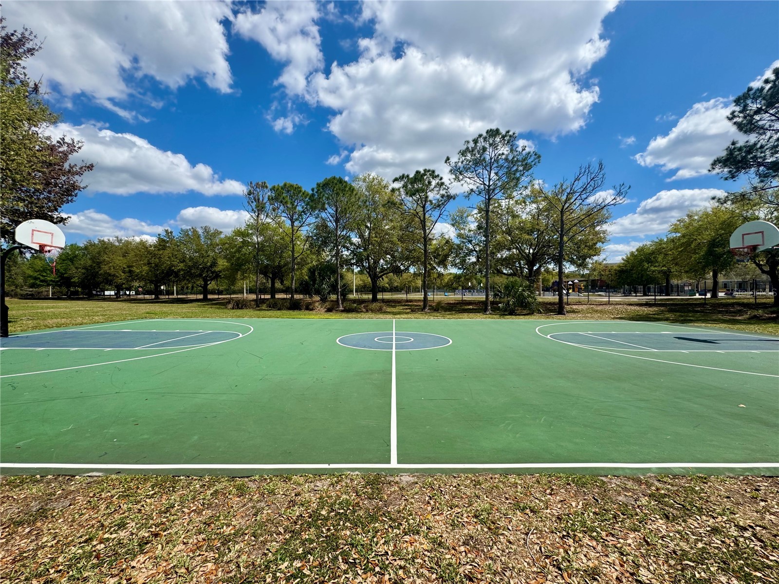 9975 Indigo Bay Circle Orlando FL 32832 O6392548 image36