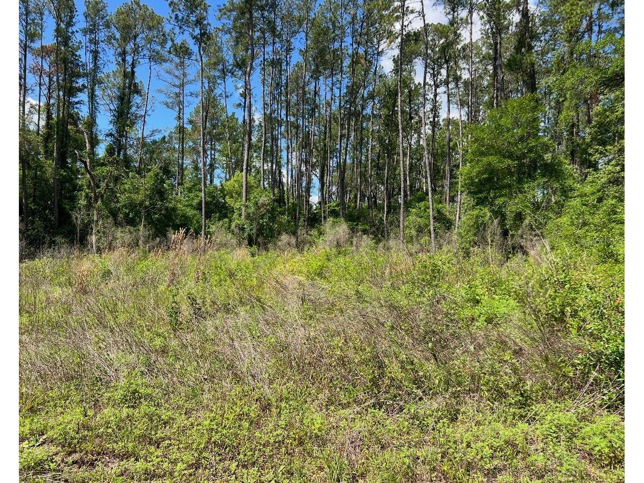 9976 N Athenia Drive Citrus Springs FL 34434 G5112708 image1