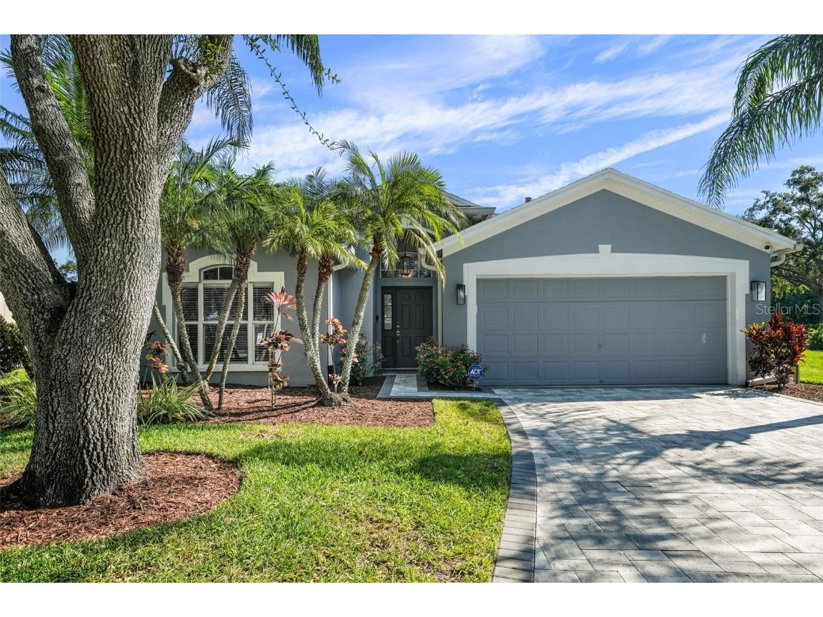 9976 Stockbridge Drive Tampa FL 33626 T3530029 image1