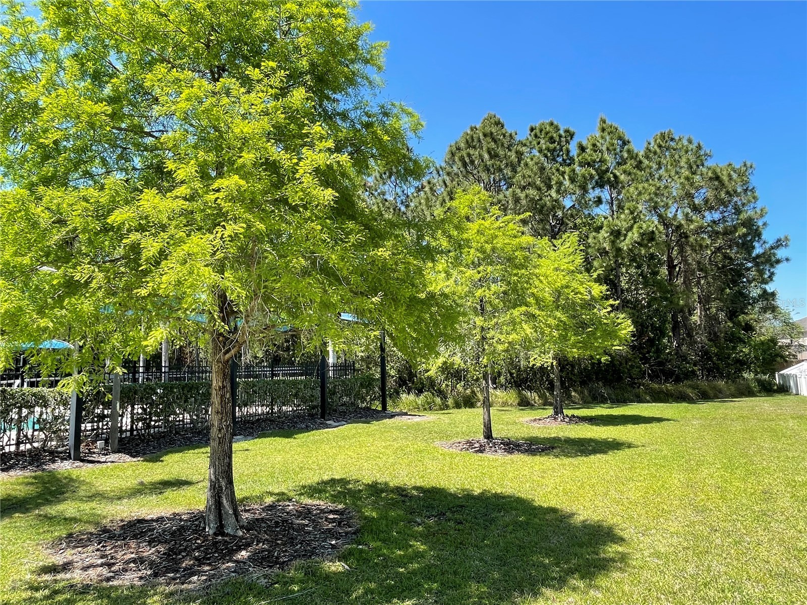 9978 Bennington Chase Drive Orlando FL 32829 S5147454 image54