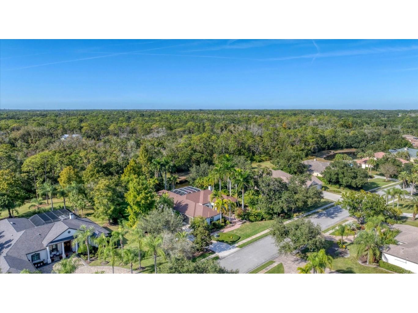 9979 Cherry Hills Avenue Circle Bradenton FL 34202 A4666883 image4