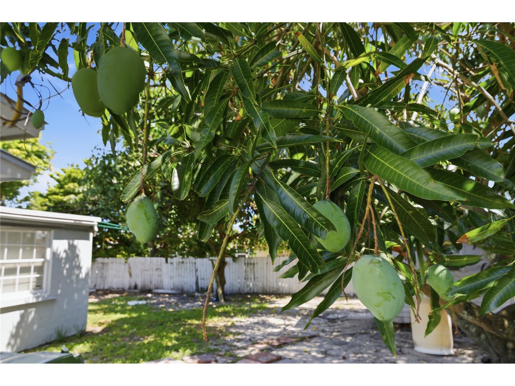 998 W 68th Street Hialeah FL 33014 OM726408 image29