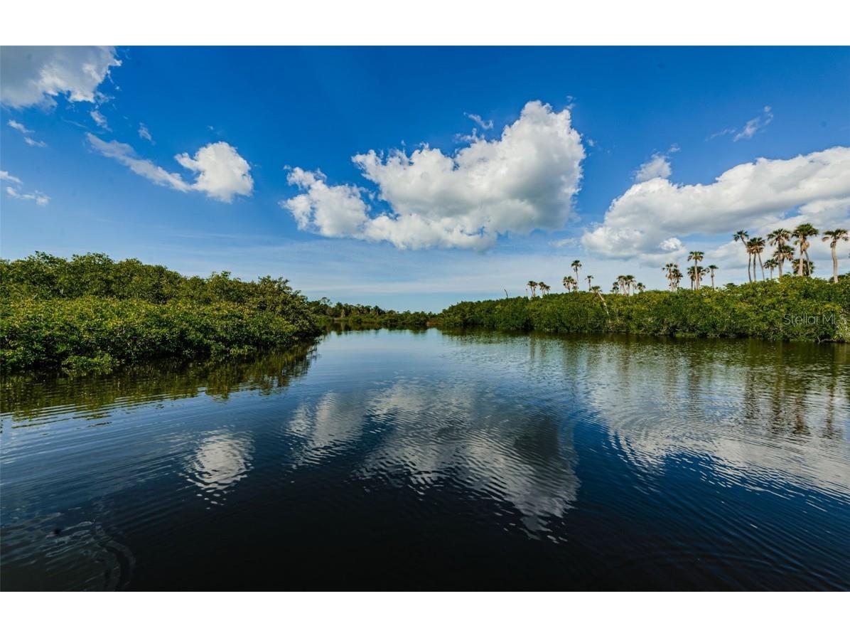 9980 Eagles Point Circle #1 Port Richey FL 34668 TB8363756 image65