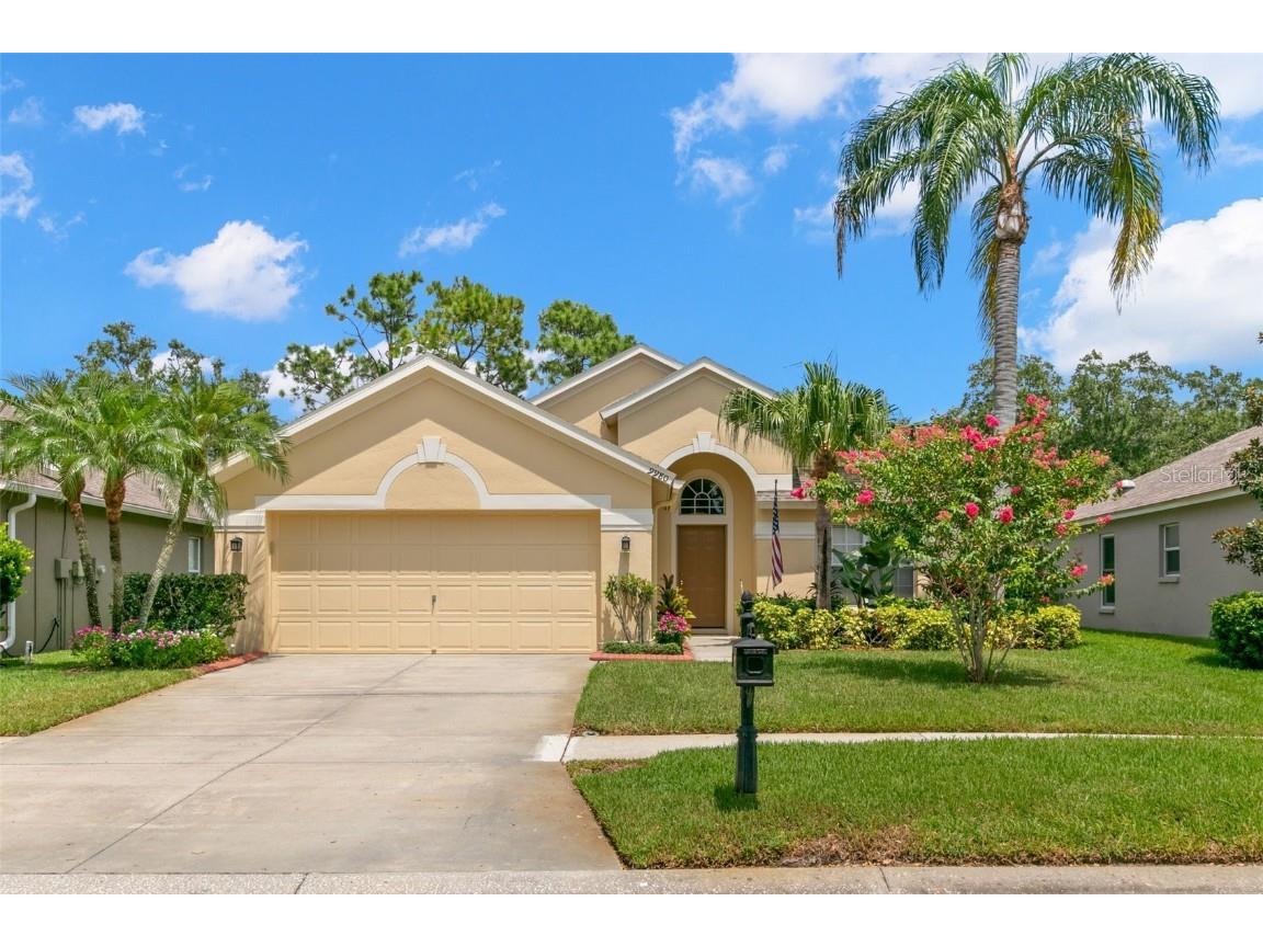 9980 Stockbridge Drive Tampa FL 33626 T3549082 image1