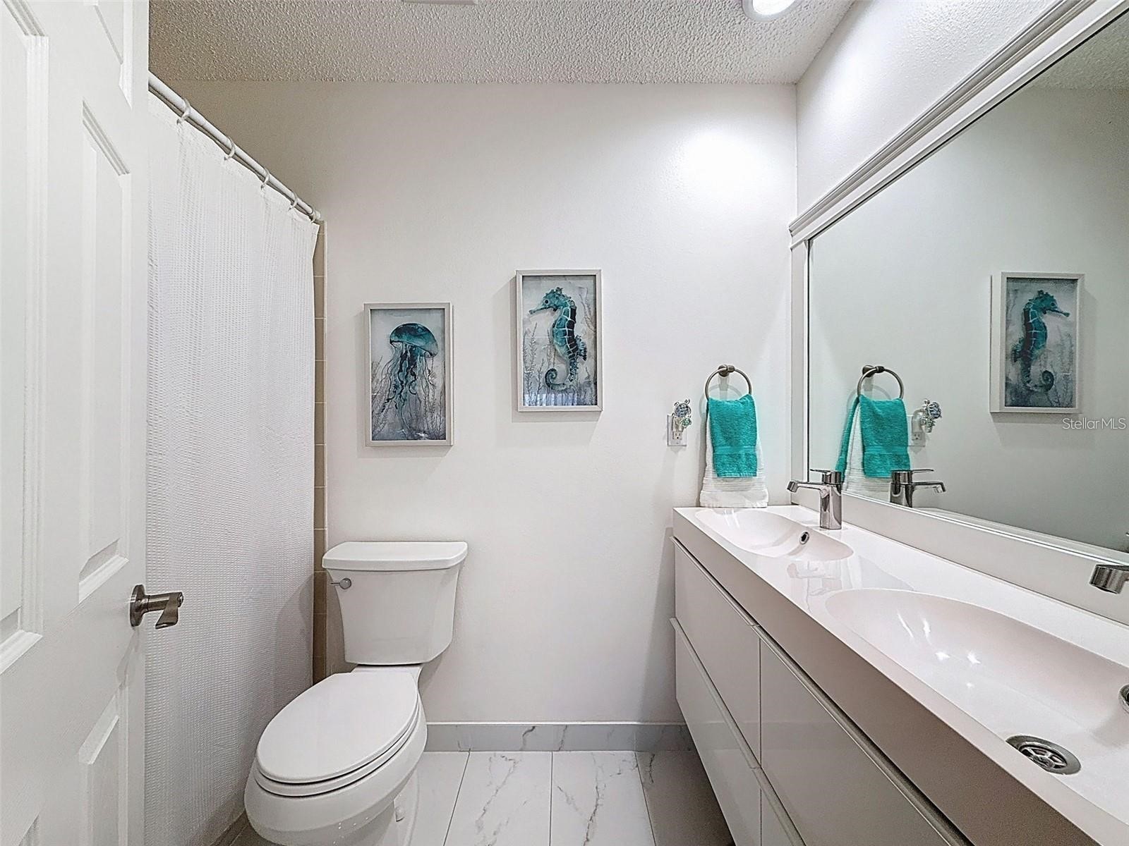 9981 Eagles Point Circle #4 Port Richey FL 34668 TB8495093 image10