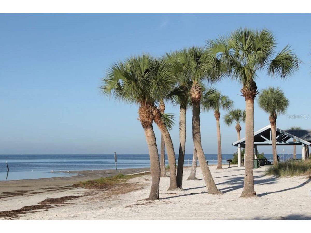 9981 Eagles Point Circle #4 Port Richey FL 34668 TB8495093 image27