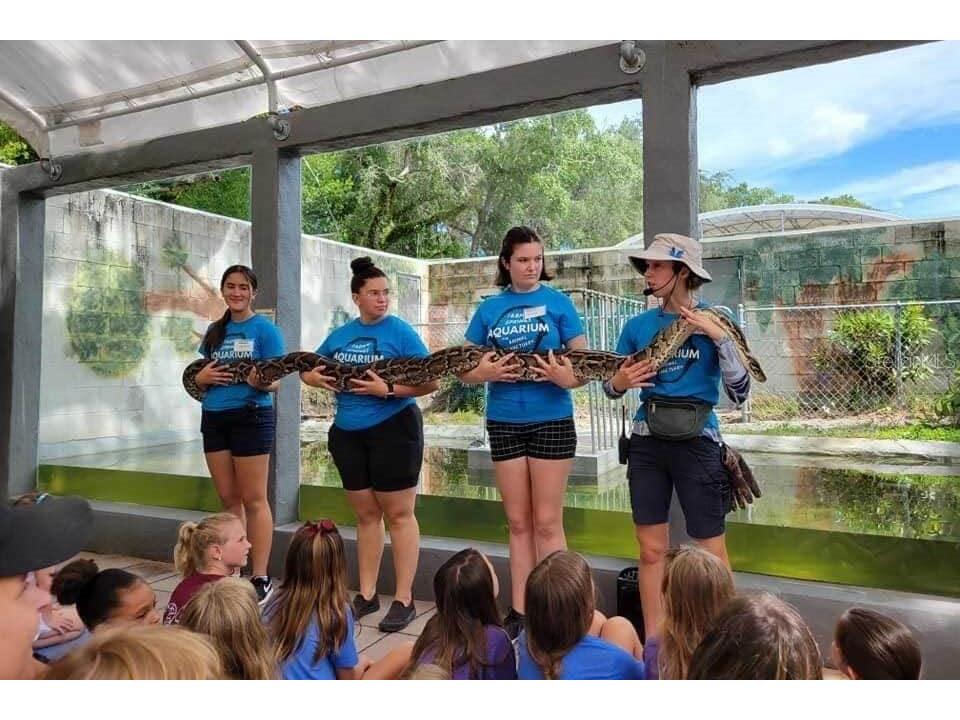 9981 Eagles Point Circle #4 Port Richey FL 34668 TB8495093 image28