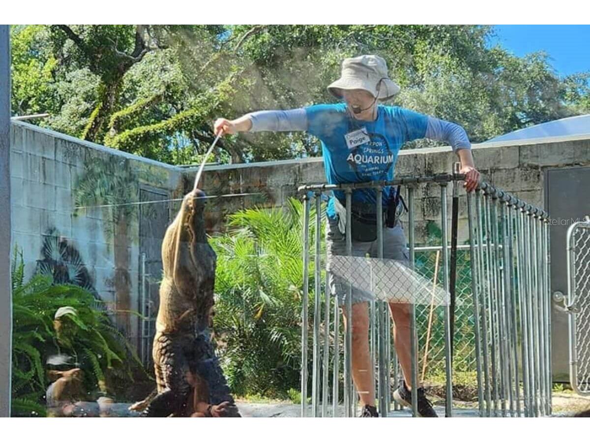 9981 Eagles Point Circle #4 Port Richey FL 34668 TB8495093 image29