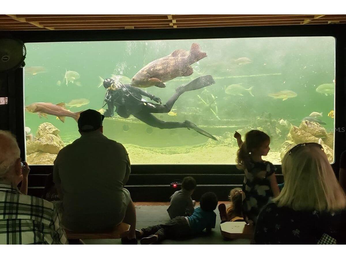 9981 Eagles Point Circle #4 Port Richey FL 34668 TB8495093 image30