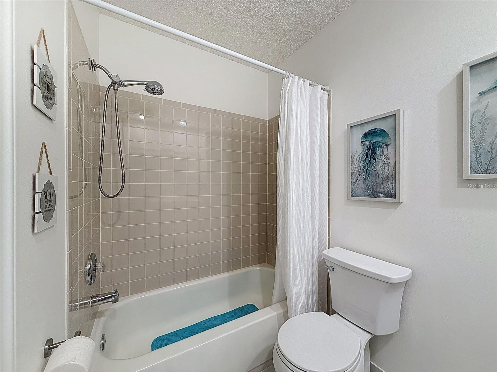 9981 Eagles Point Circle #4 Port Richey FL 34668 TB8495093 image9