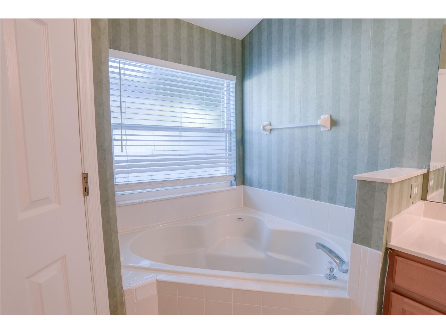 9983 Brodbeck Boulevard Orlando FL 32832 O6395811 image31