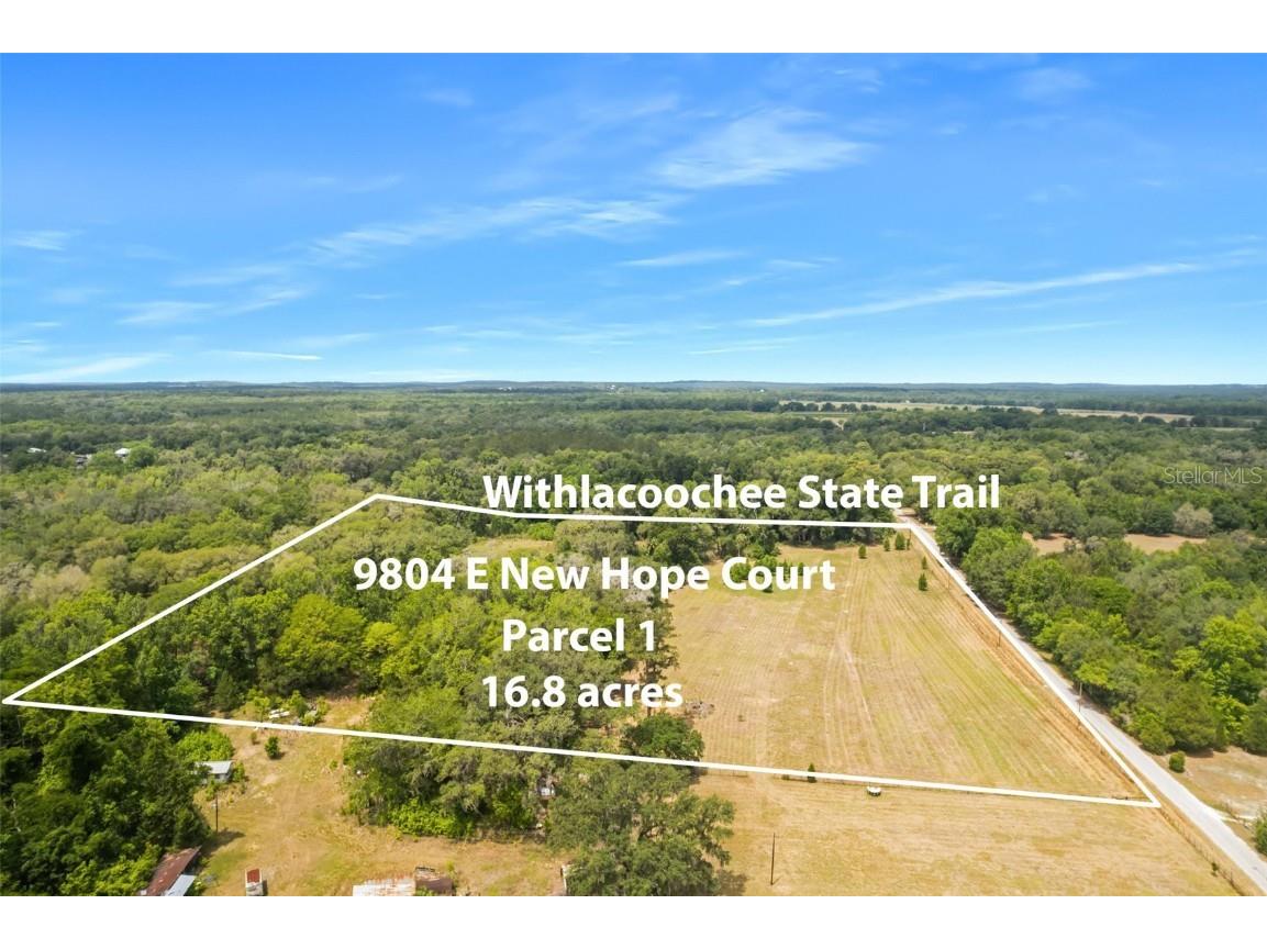 9986 E New Hope Court Floral City FL 34436 W7854848 image10