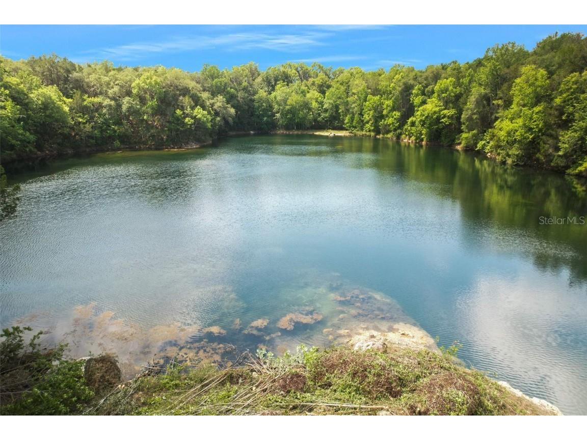 9986 E New Hope Court Floral City FL 34436 W7854848 image11