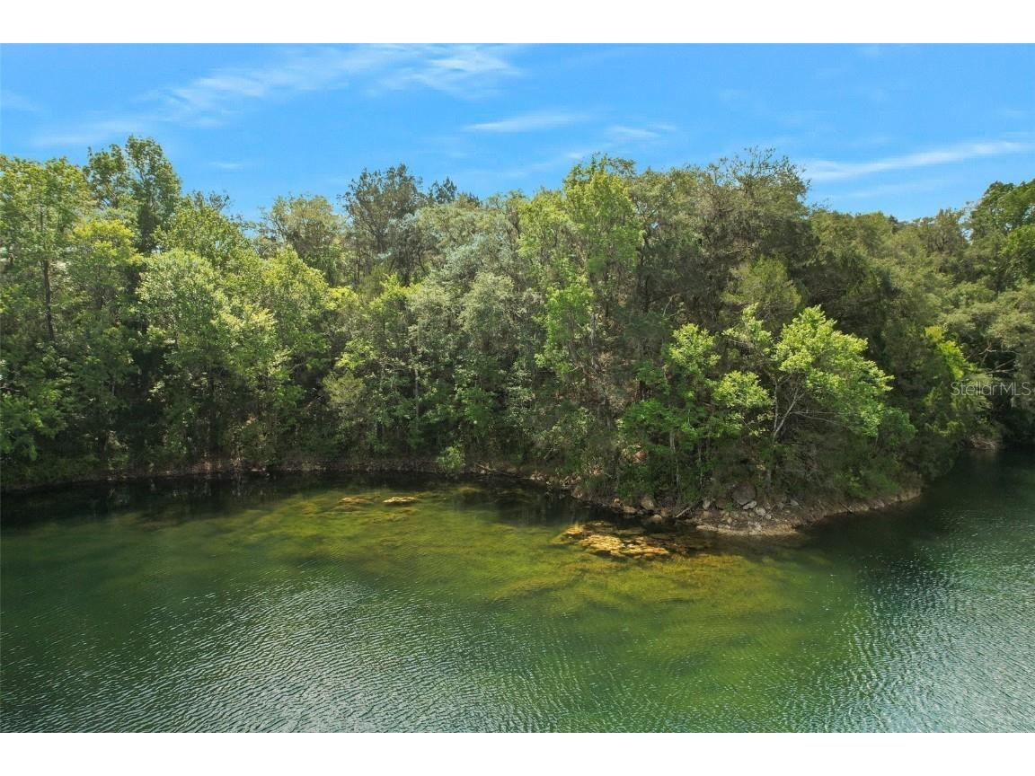 9986 E New Hope Court Floral City FL 34436 W7854848 image14