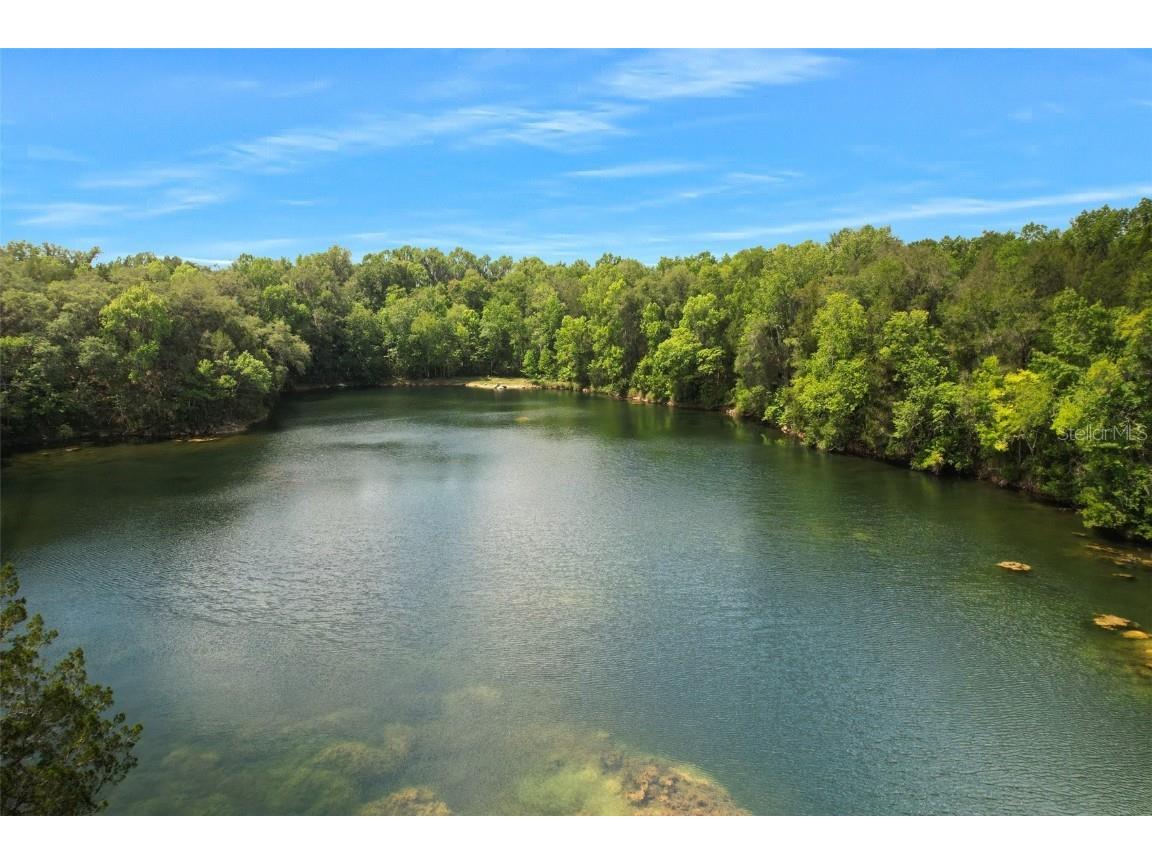 9986 E New Hope Court Floral City FL 34436 W7854848 image15