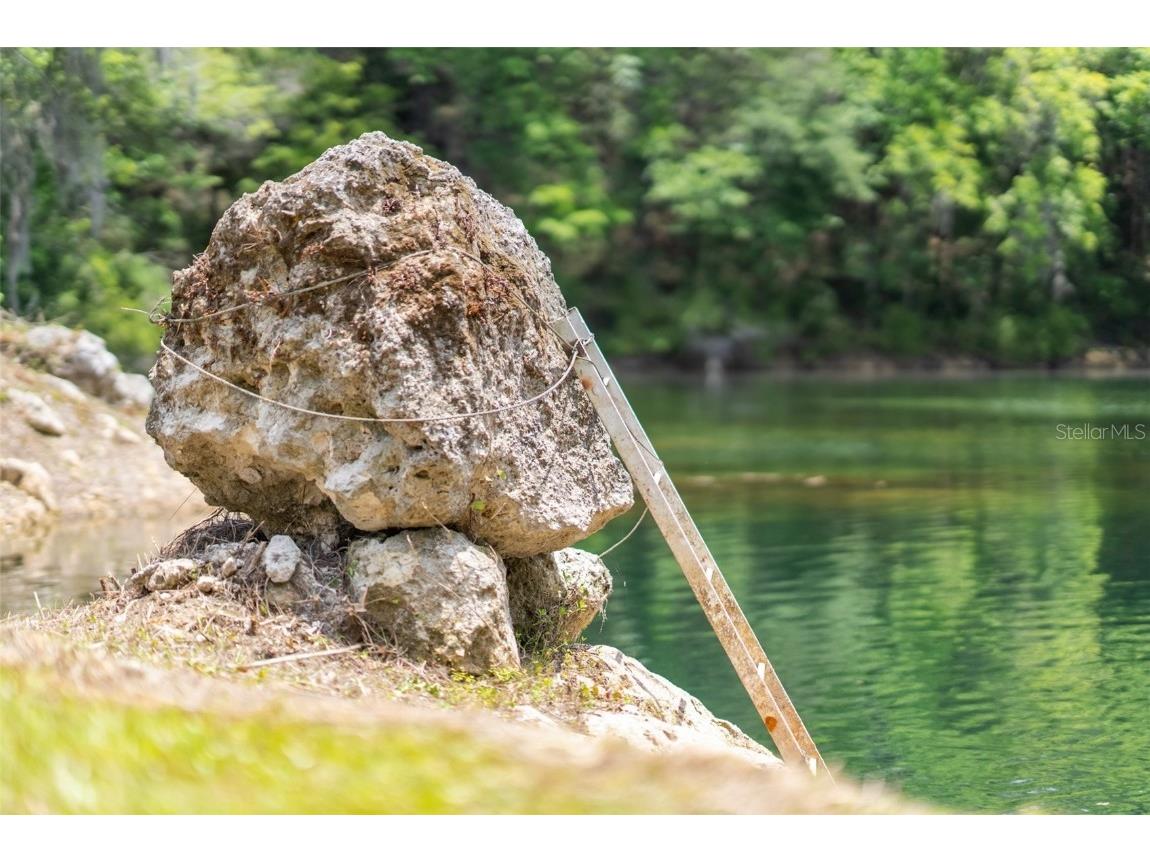 9986 E New Hope Court Floral City FL 34436 W7854848 image2