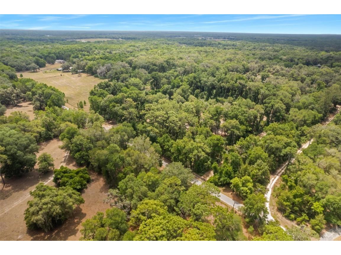 9986 E New Hope Court Floral City FL 34436 W7854848 image21