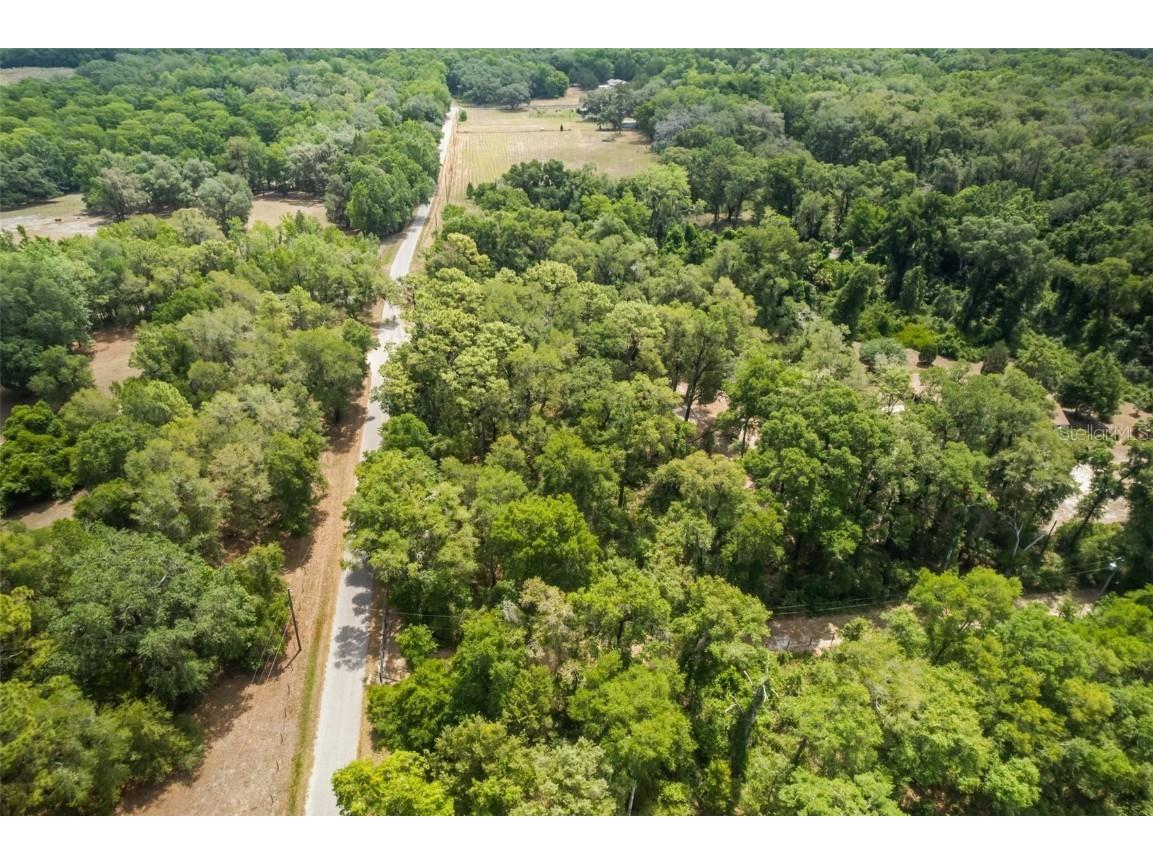 9986 E New Hope Court Floral City FL 34436 W7854848 image26