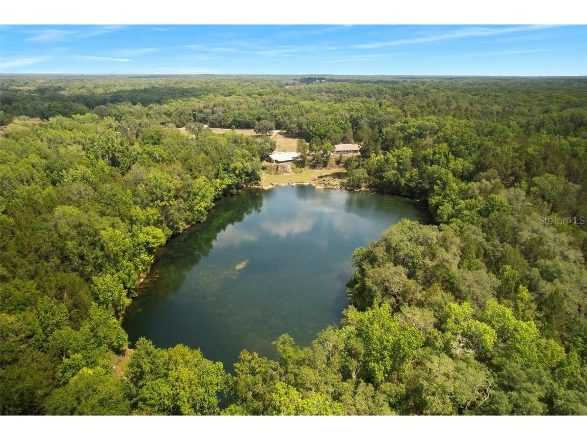 9986 E New Hope Court Floral City FL 34436 W7854848 image36