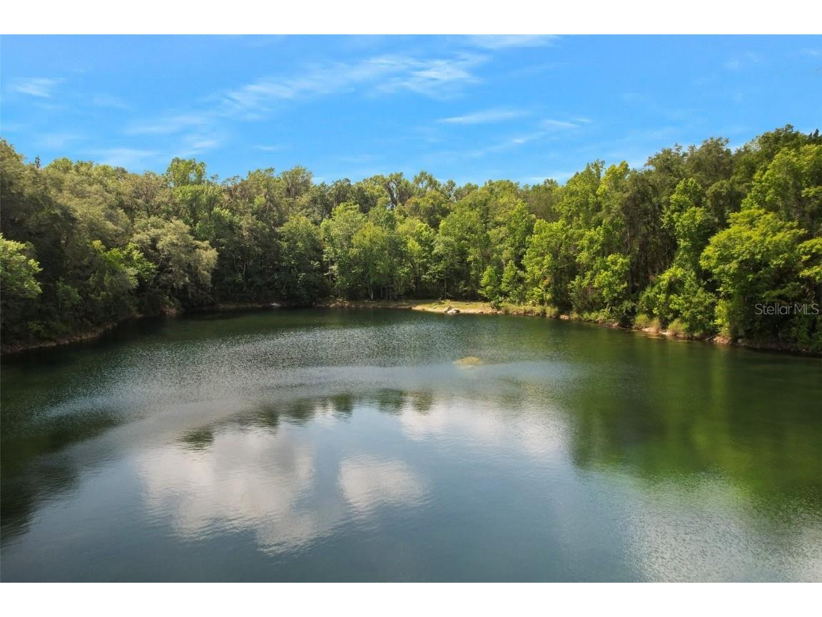 9986 E New Hope Court Floral City FL 34436 W7854848 image38