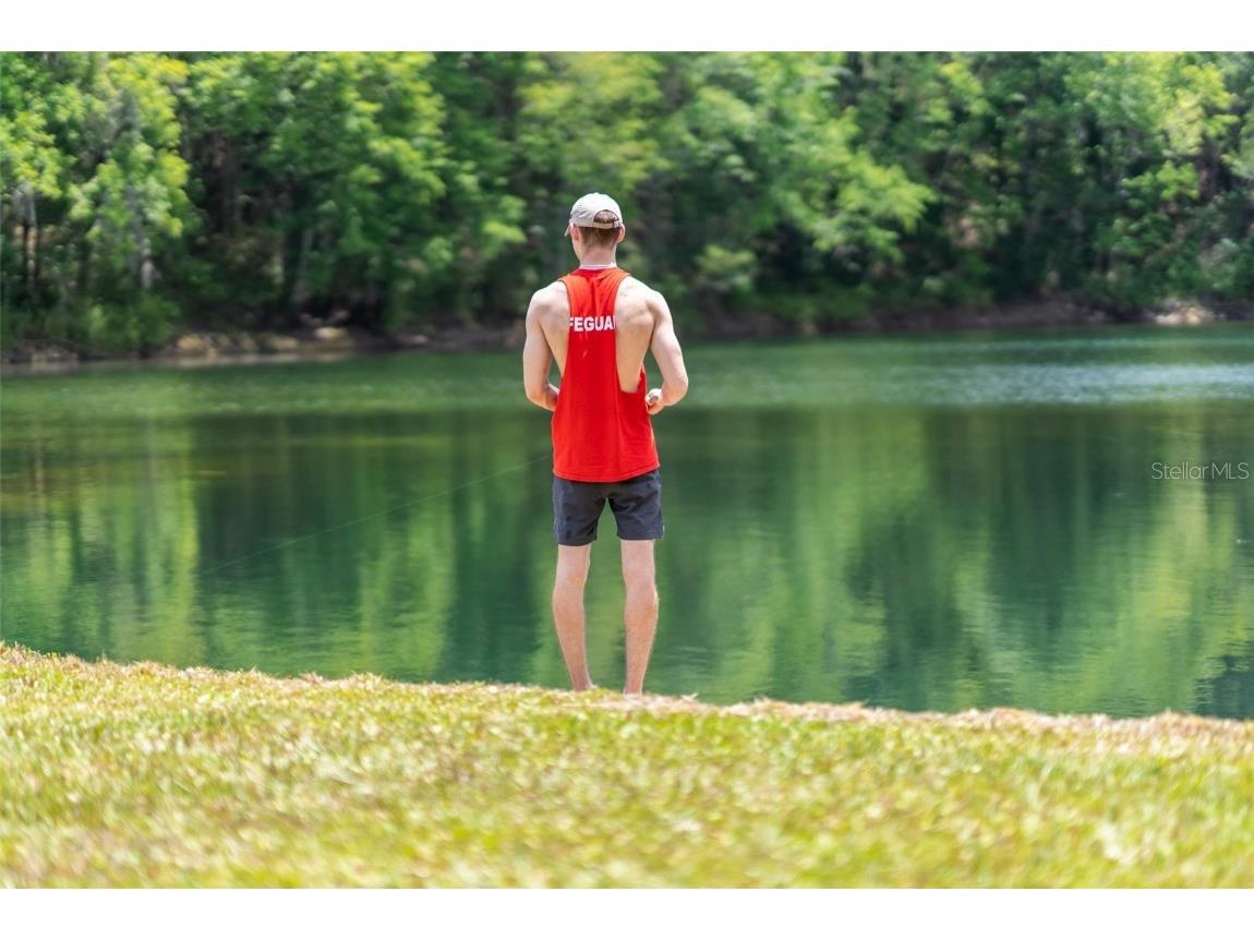 9986 E New Hope Court Floral City FL 34436 W7854848 image42