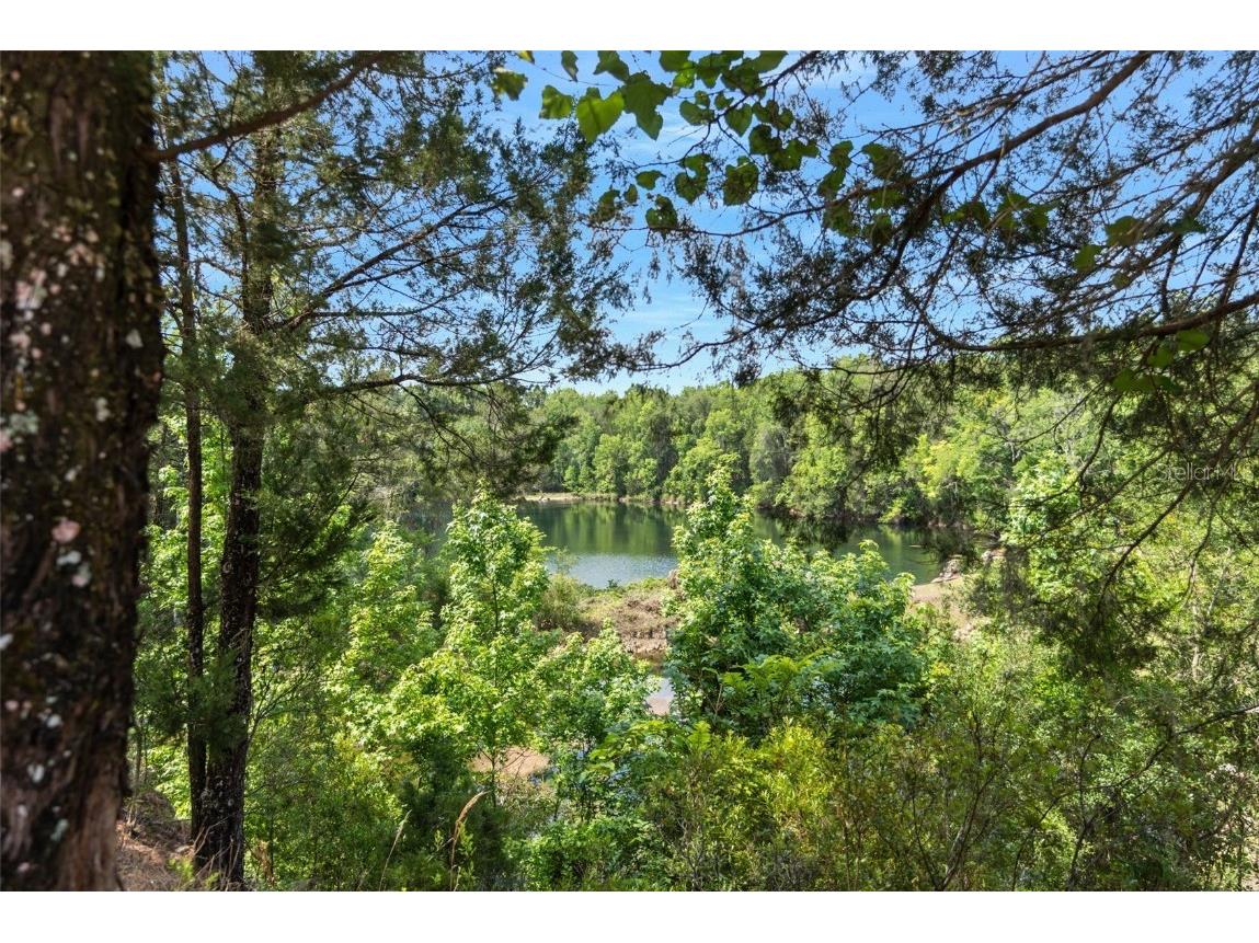 9986 E New Hope Court Floral City FL 34436 W7854848 image55