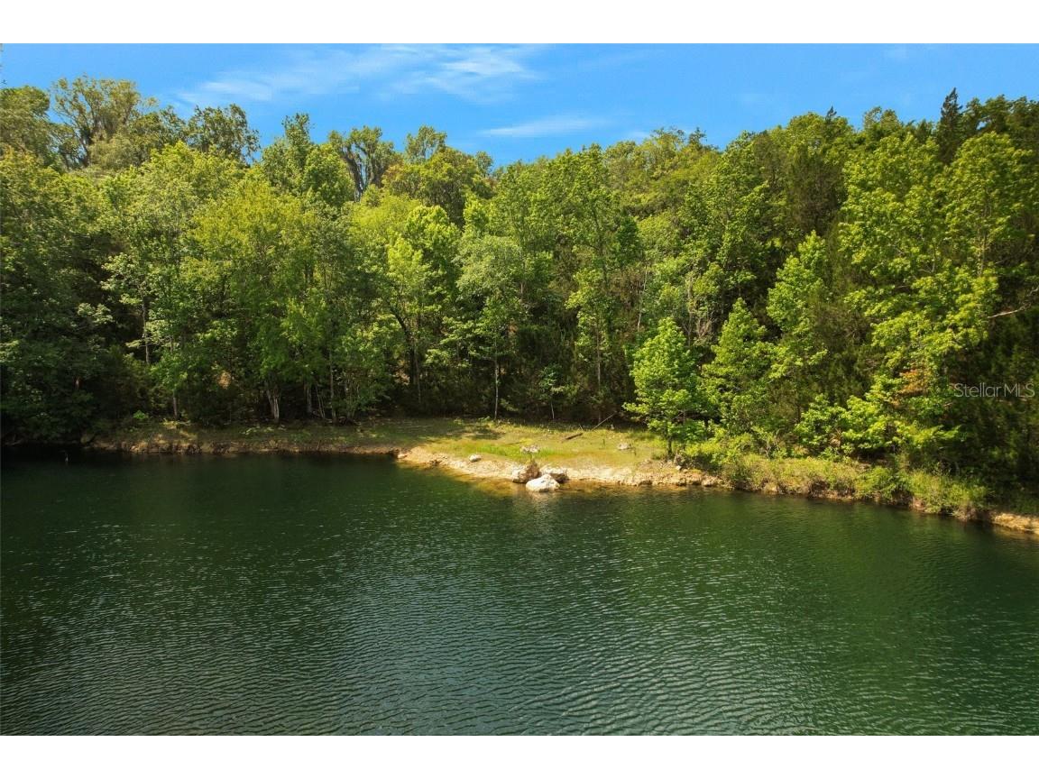 9986 E New Hope Court Floral City FL 34436 W7854848 image6