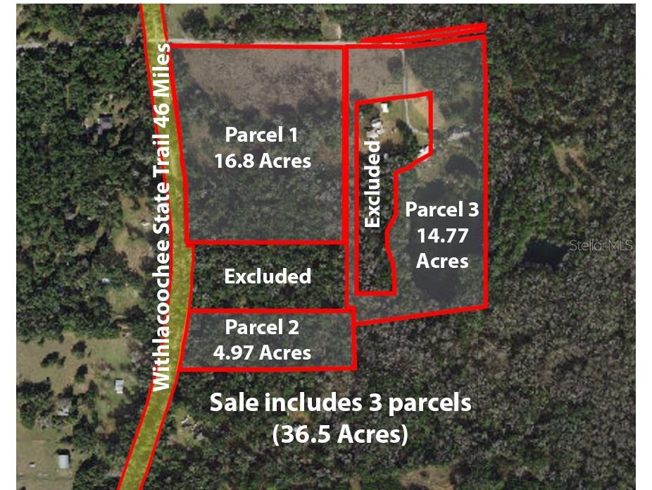 9986 E New Hope Court Floral City FL 34436 W7854848 image7