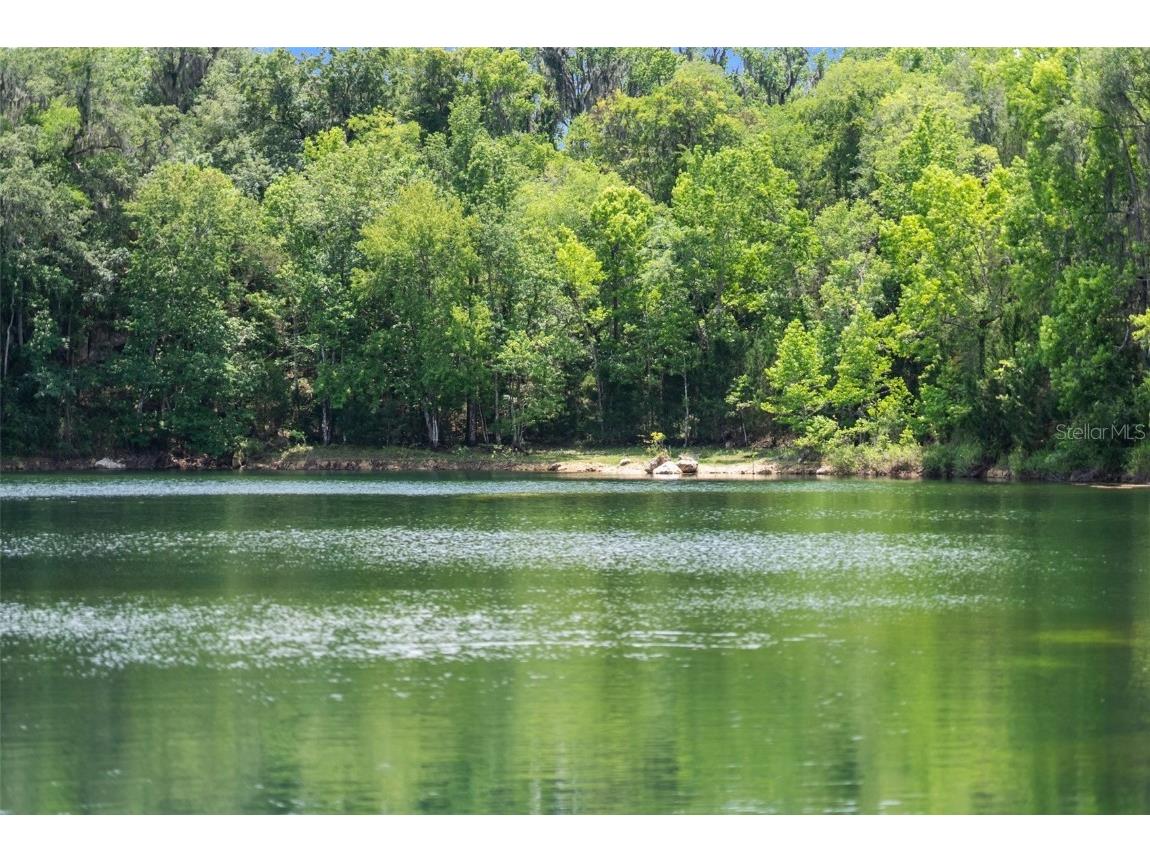 9986 E New Hope Court Floral City FL 34436 W7854848 image96