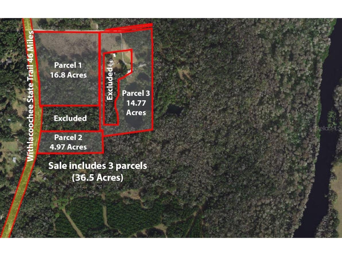 9986 E New Hope Court Floral City FL 34436 W7854848 image97